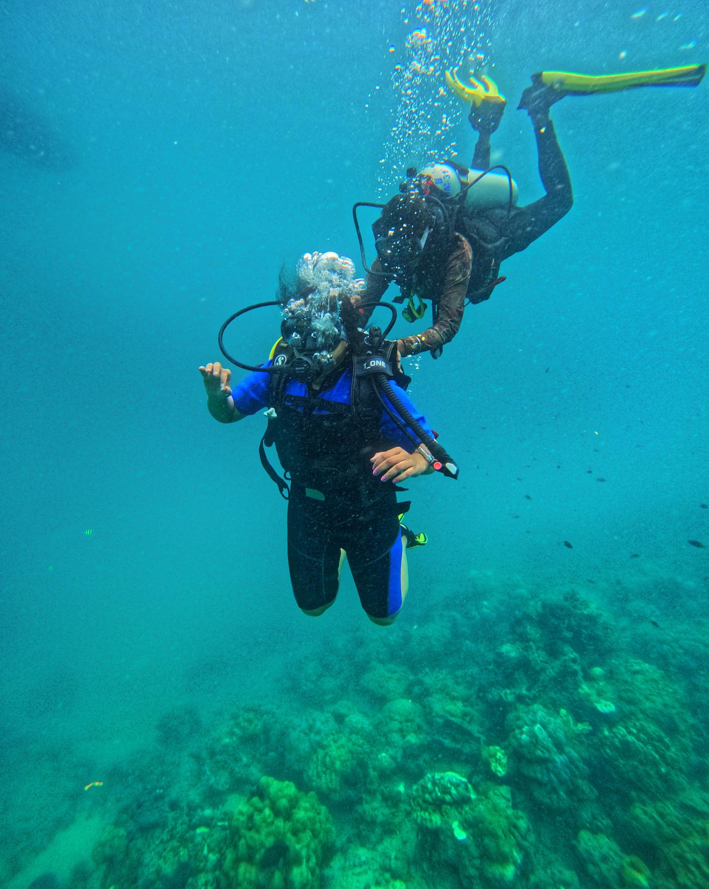 Scuba Diving in Havelock.jpg
