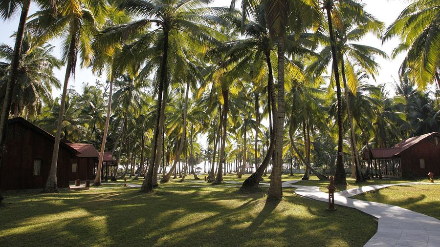 Around_Silver_Sand_Beach_Resort_2_tdoacc.jpeg