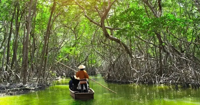 Mangrove-creek-Copy.webp