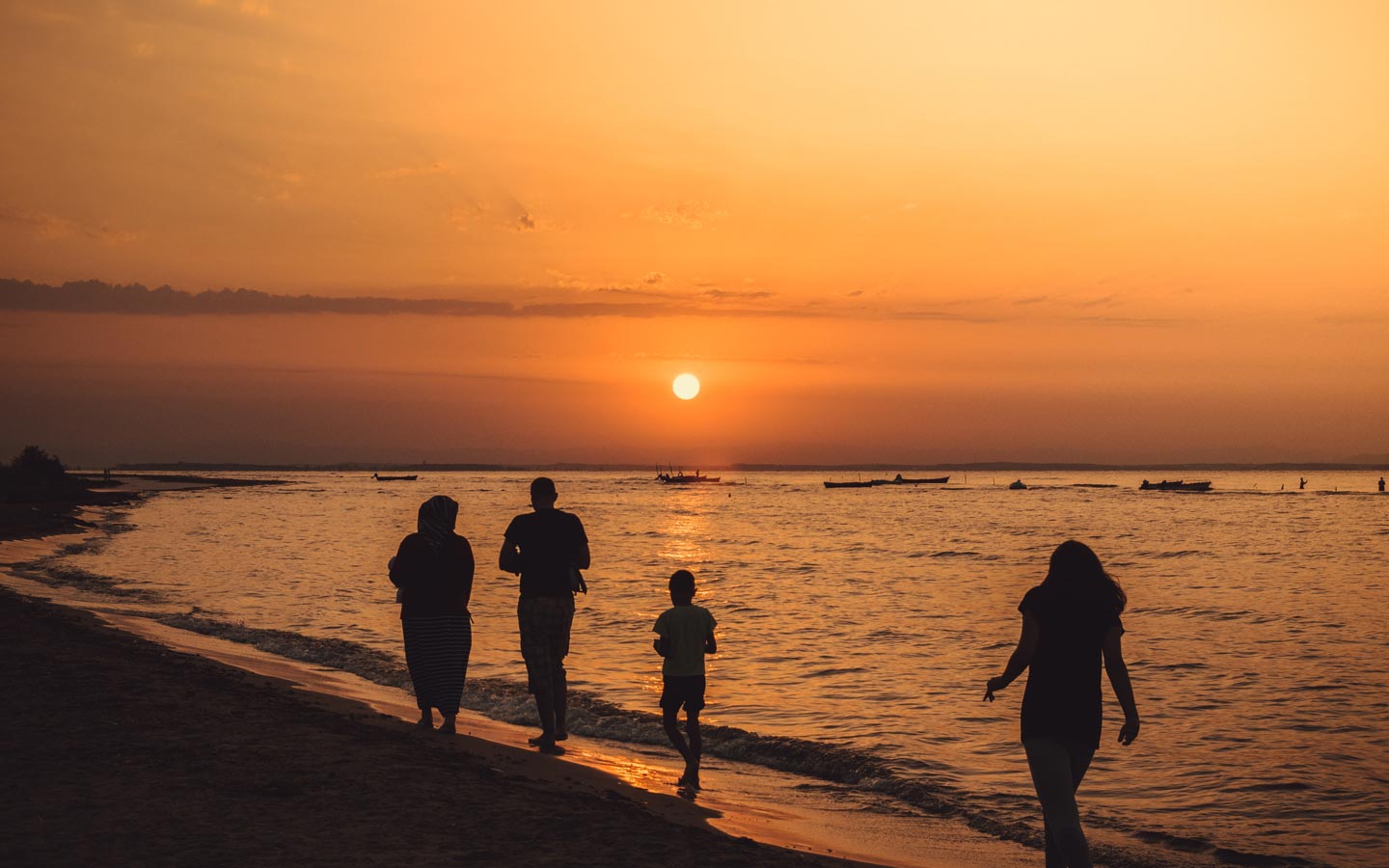 Sea Shell Neil -  Sunset.jpg