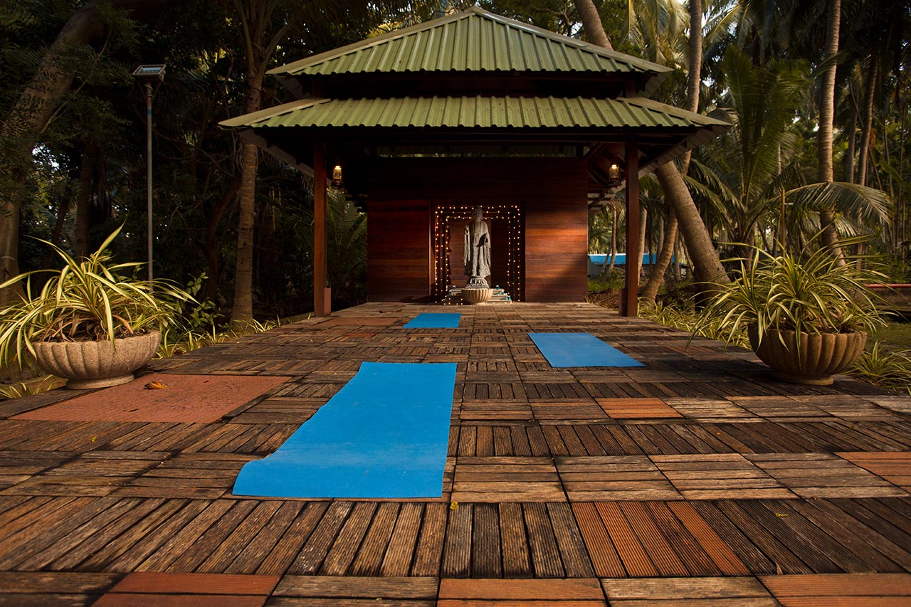 Sea Shell Neil - Yoga-space.jpg