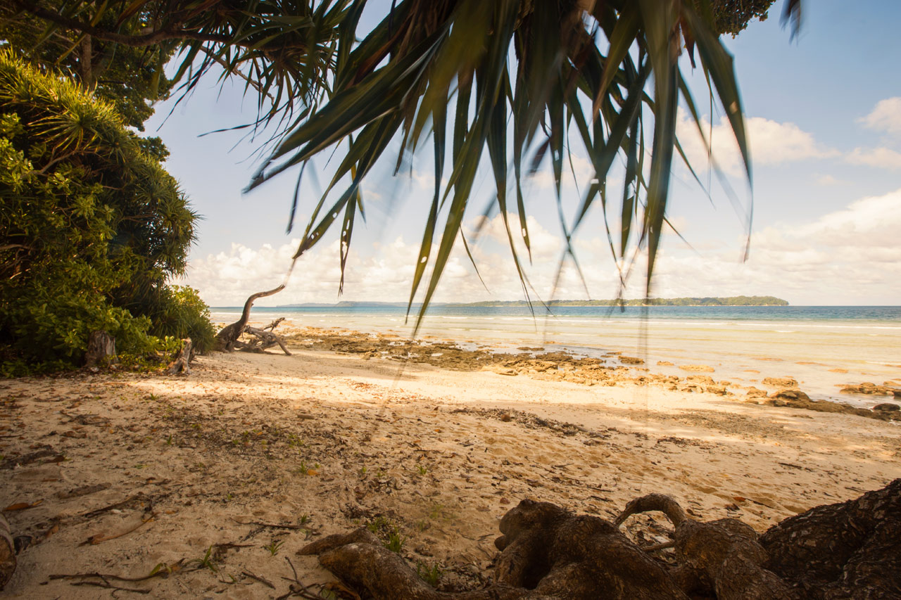 SeaShellSamssaraNeil - Beach.jpg