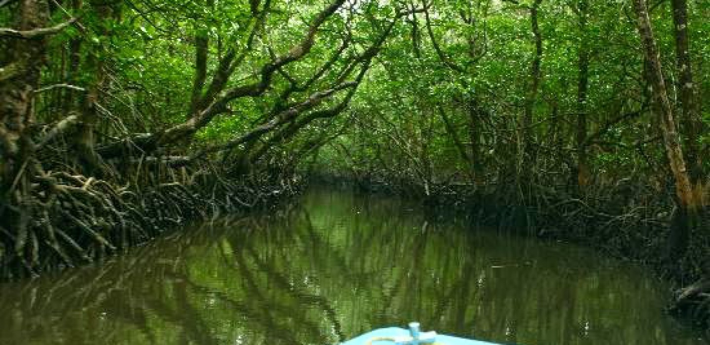 baratang-island-abode-of-natural-wonders.jpg