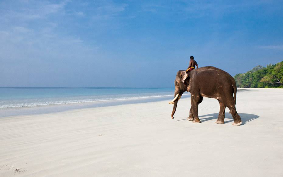 radhanagar-beach-india0316.jpg