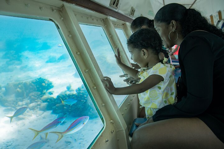 A child and mother enjoying semi-submarine..jpg