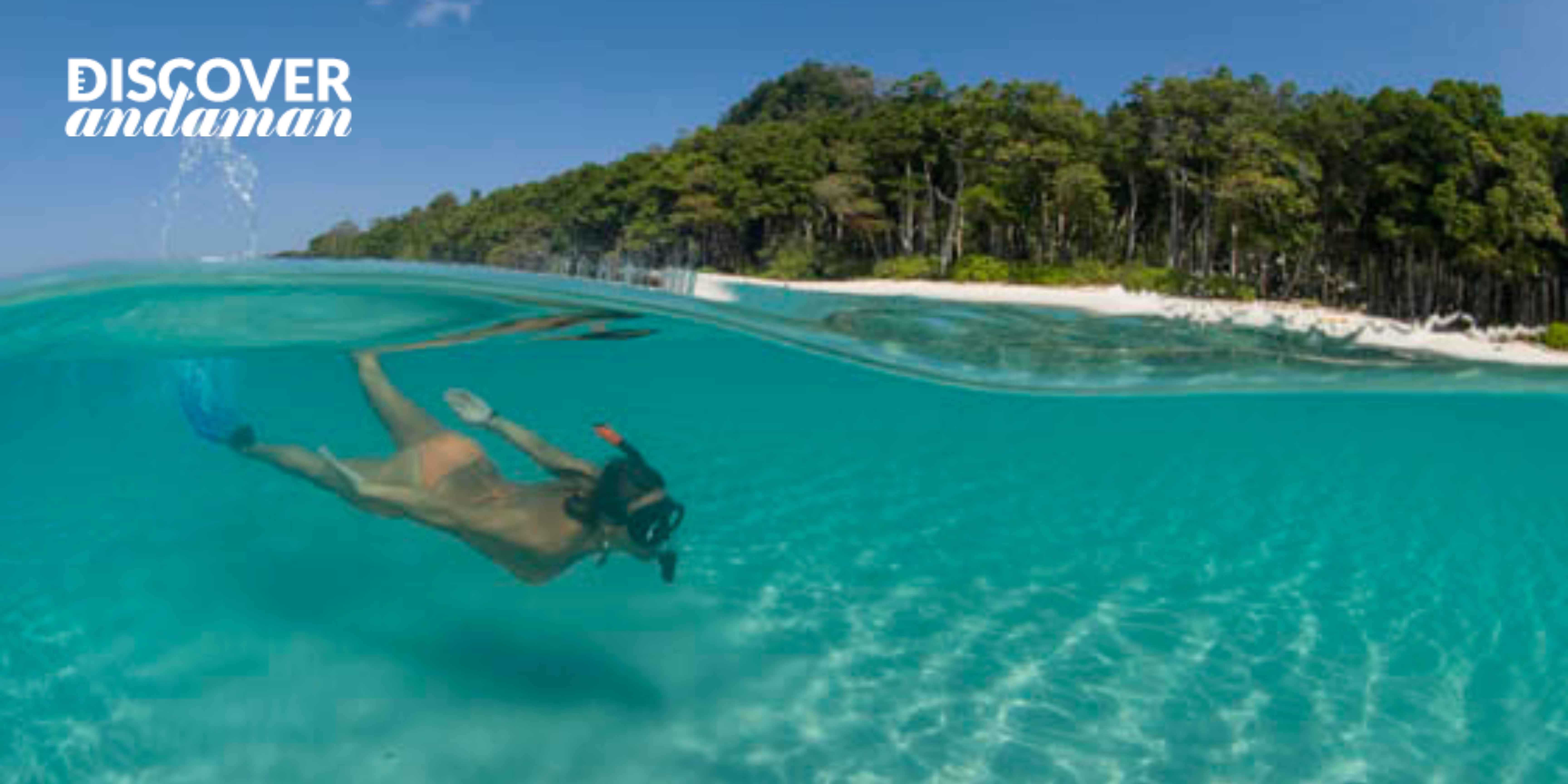 A girl doing Snorkeling at elephant beach.jpg