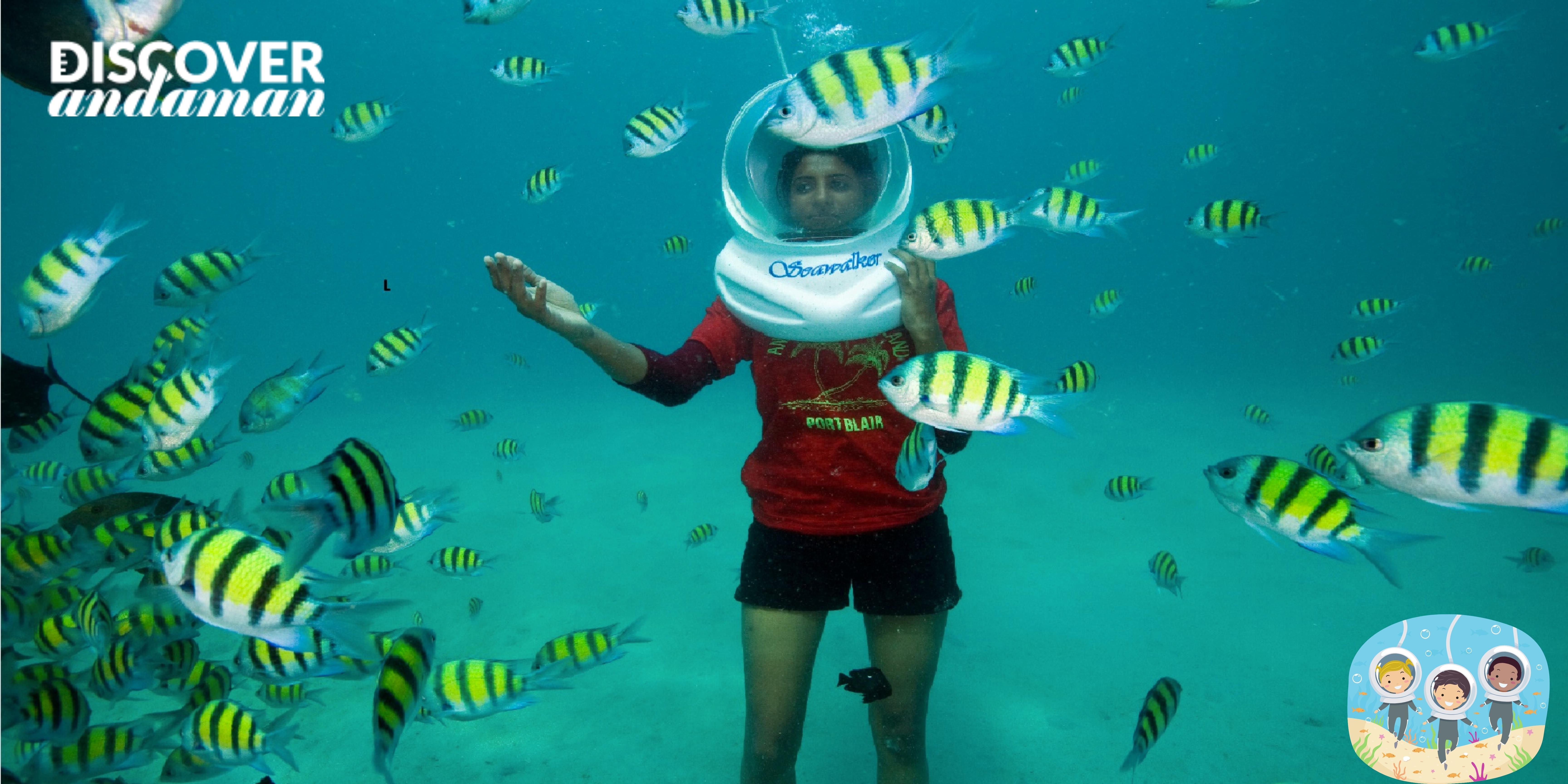 A girl sea walking through a flock of fishes in elephant beach.jpg