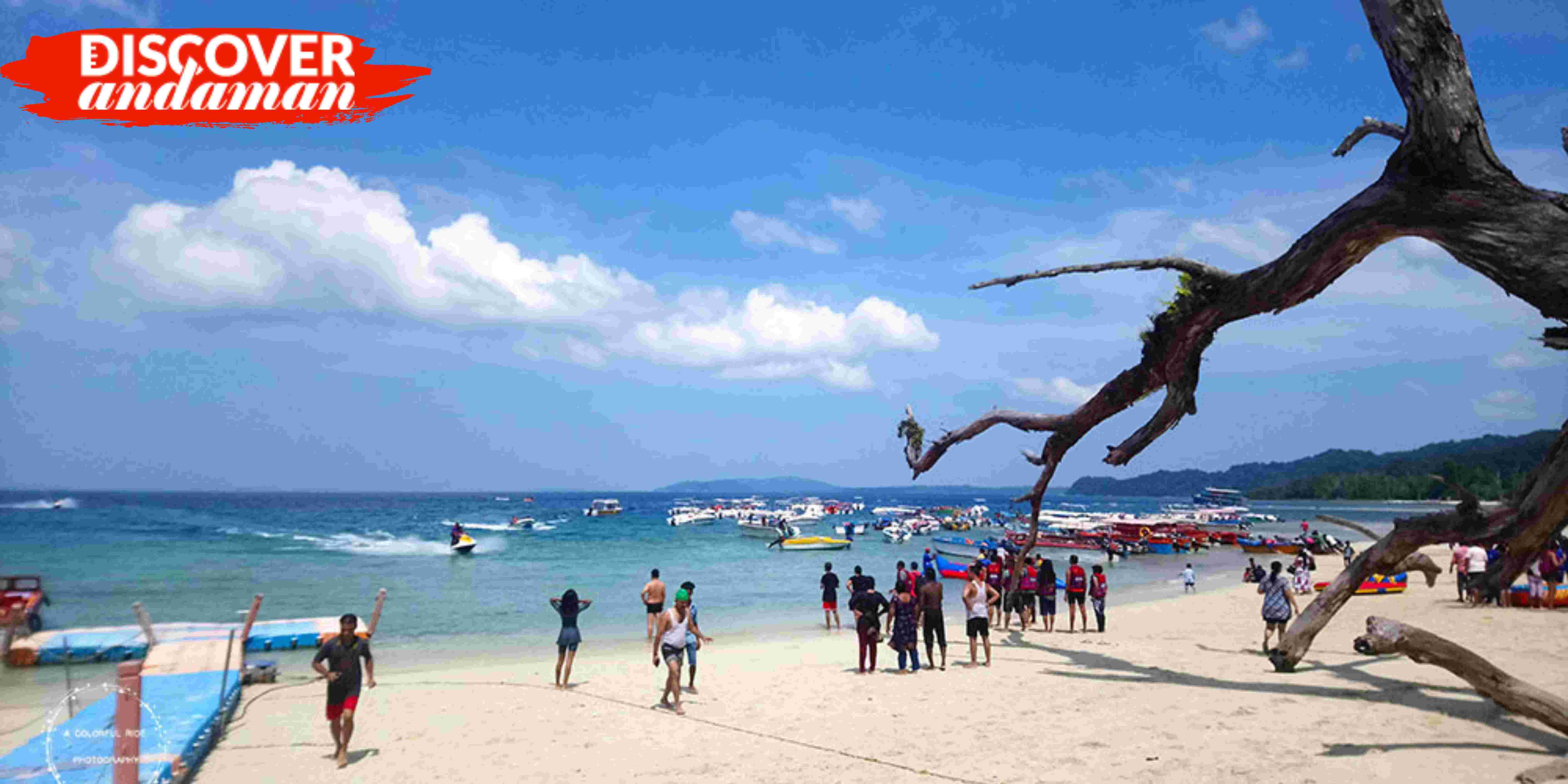 Elephant Beach view with people.jpg