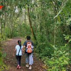 Trekking to Elephant Beach