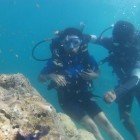 Scuba Diving in Havelock