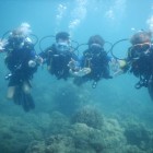 Scuba Diving in Havelock