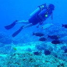 Scuba Diving in Havelock