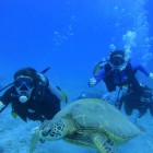 Scuba Diving in Havelock