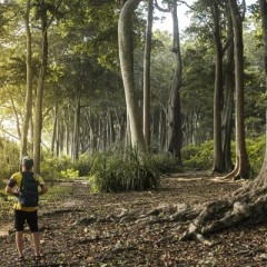 Trekking to Elephant Beach