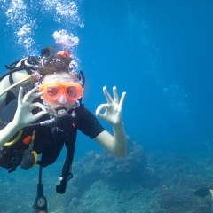 Scuba Diving in North Bay Coral Island (Port Blair)