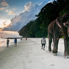 Radhanagar beach in Havelock