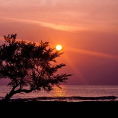 Sitapur beach in Neil Island