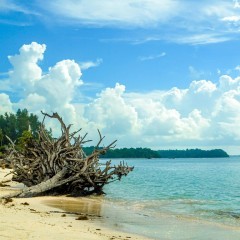 Wandoor beach