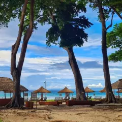 Radhanagar beach in Havelock