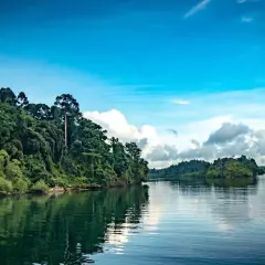 Baratang Island tour