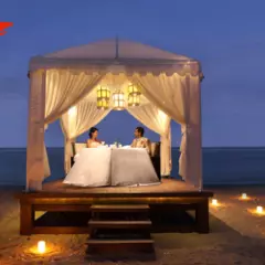 Candle Light Dinner