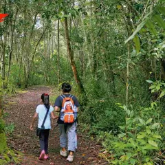 Trekking to Elephant Beach