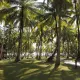 Silver Sand Beach Resort, Havelock