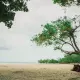 Silver Sand Beach Resort, Neil Island