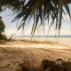 SeaShell Samssara, Neil