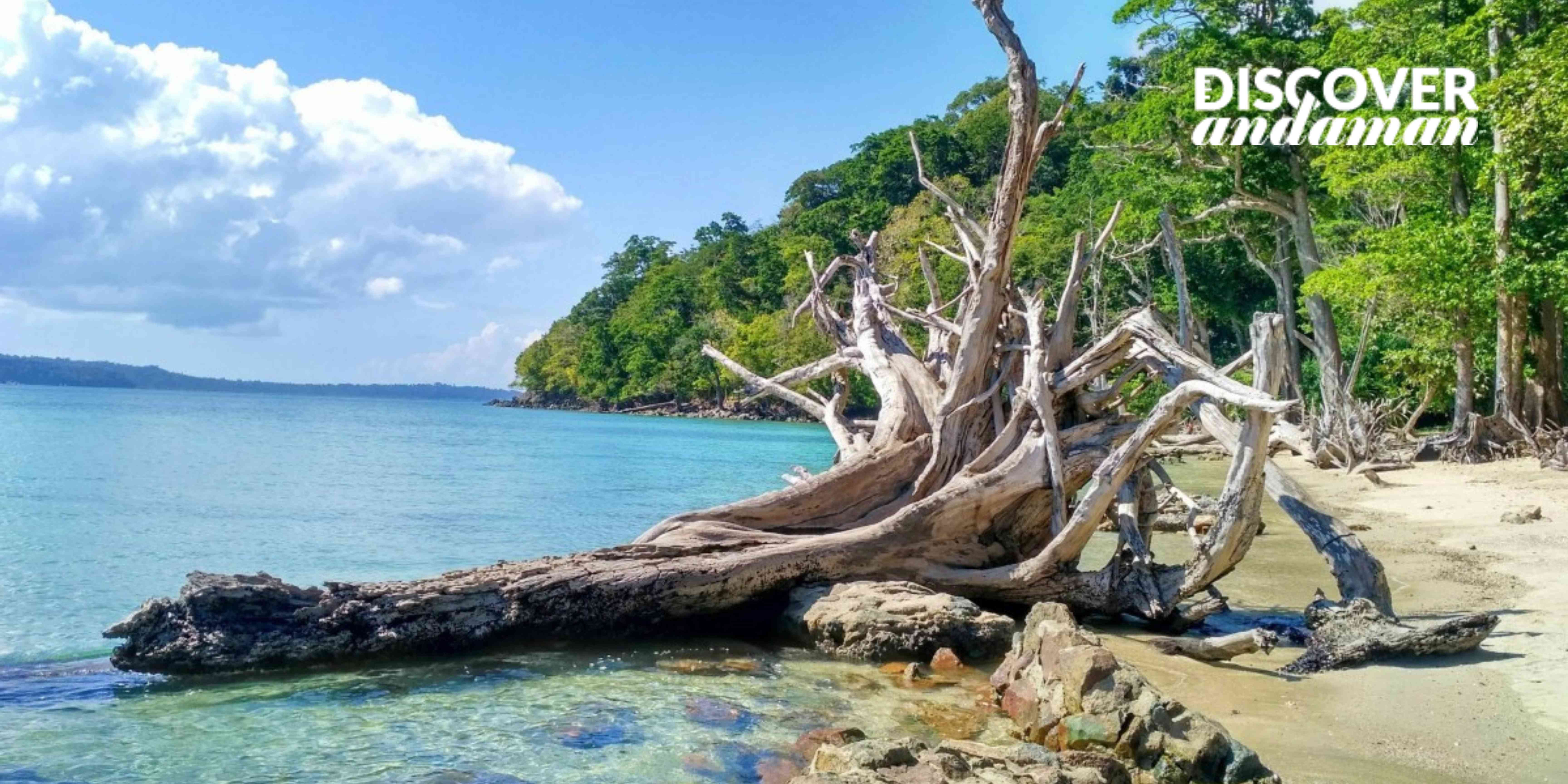 Chidiyatapu Beach .jpg