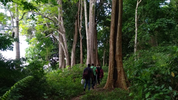 2-TREKKING-TOOCK-ISLAND-min.jpg