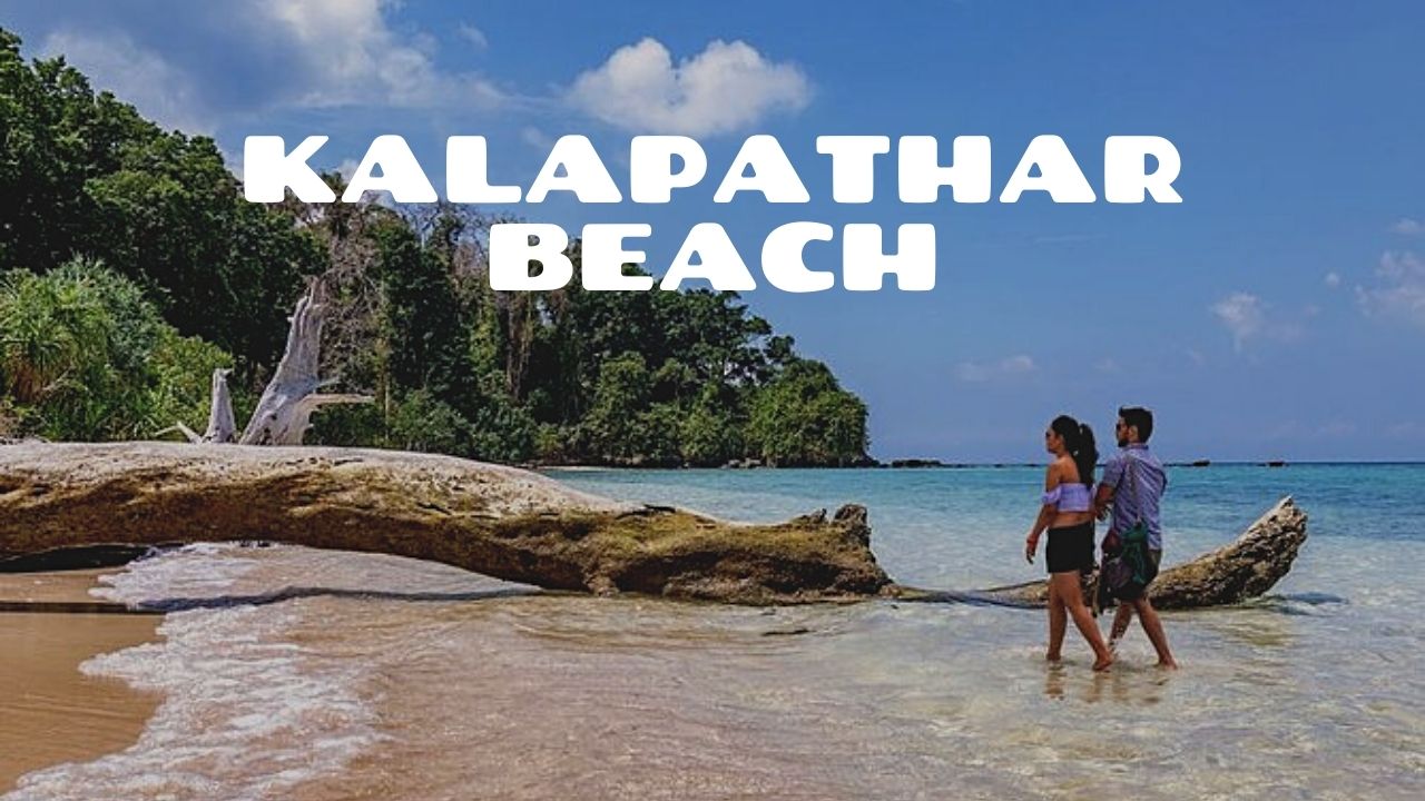 Andaman Exotica 10D/9N Andaman package – photo 6