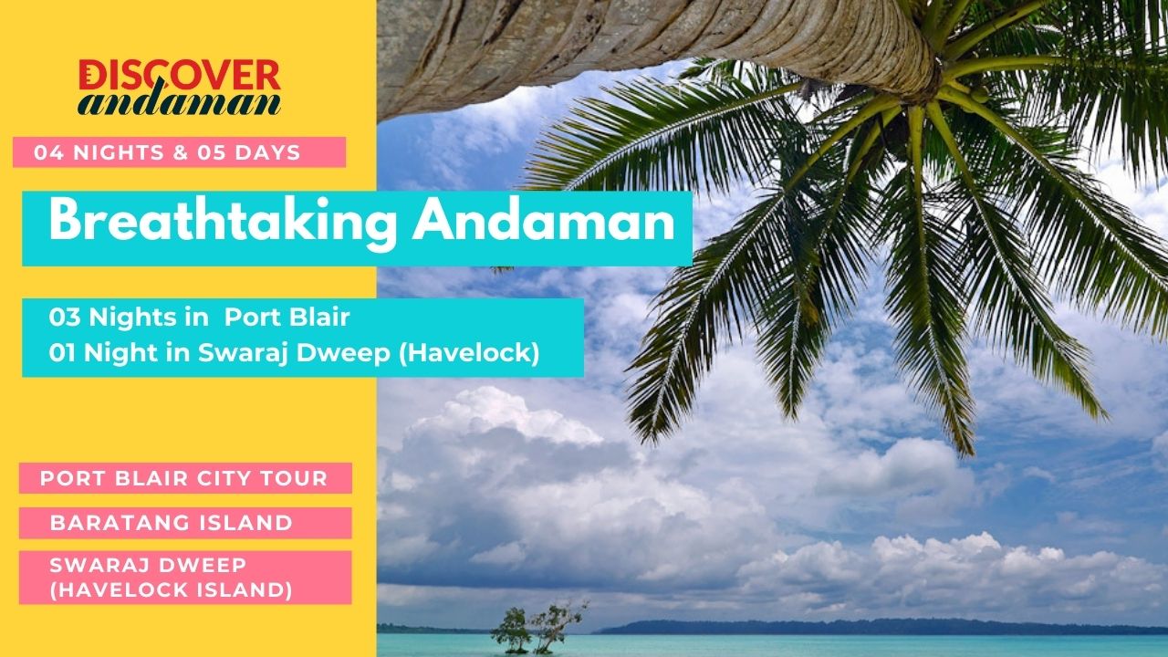 Breathtaking Andaman 5D/4N Andaman package – photo 1