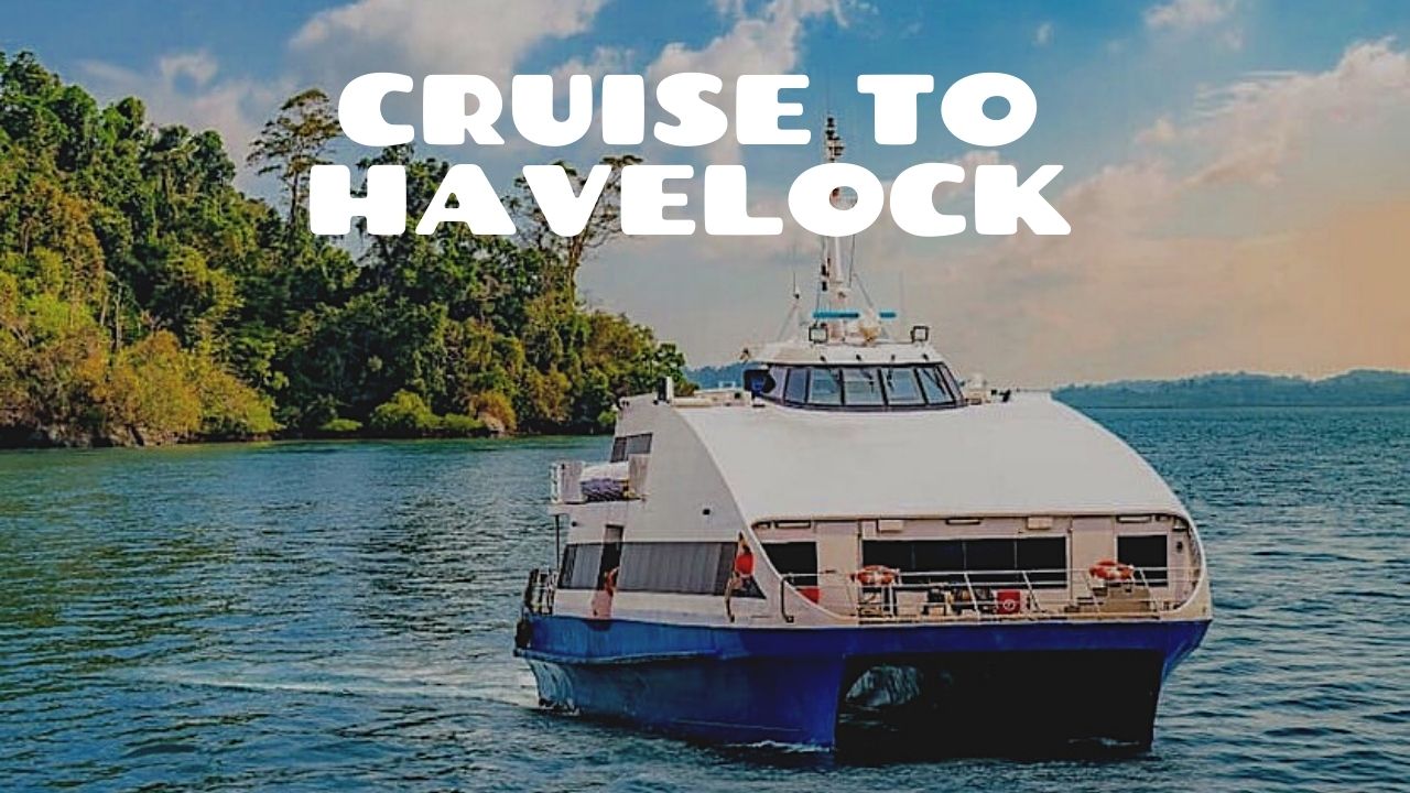 Curated Tour of Andaman 6D/5N Andaman package – photo 3