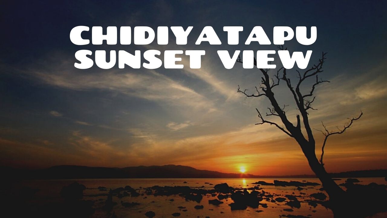 Curated Tour of Andaman 6D/5N Andaman package – photo 5