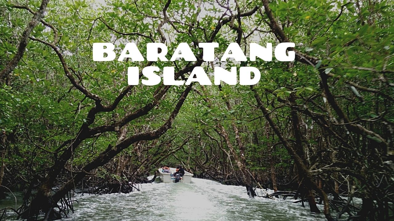 Curated Tour of Andaman 6D/5N Andaman package – photo 6