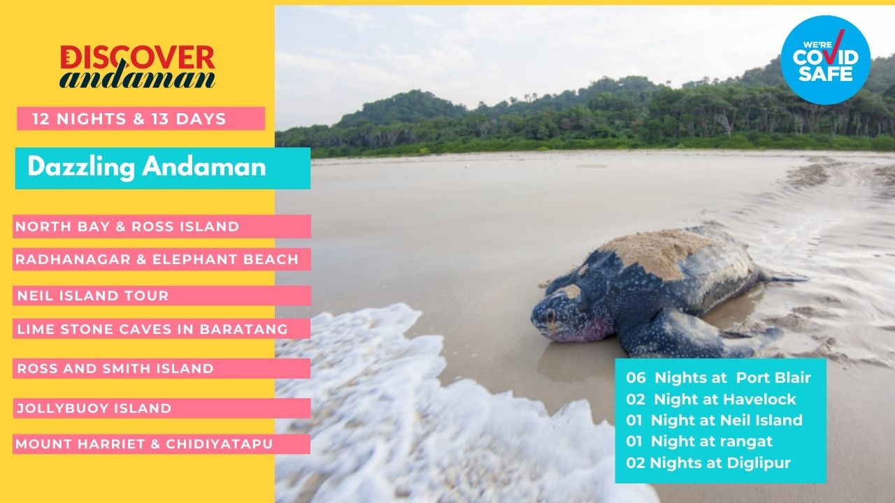Dazzling Andaman 13D/12N Andaman package – photo 1