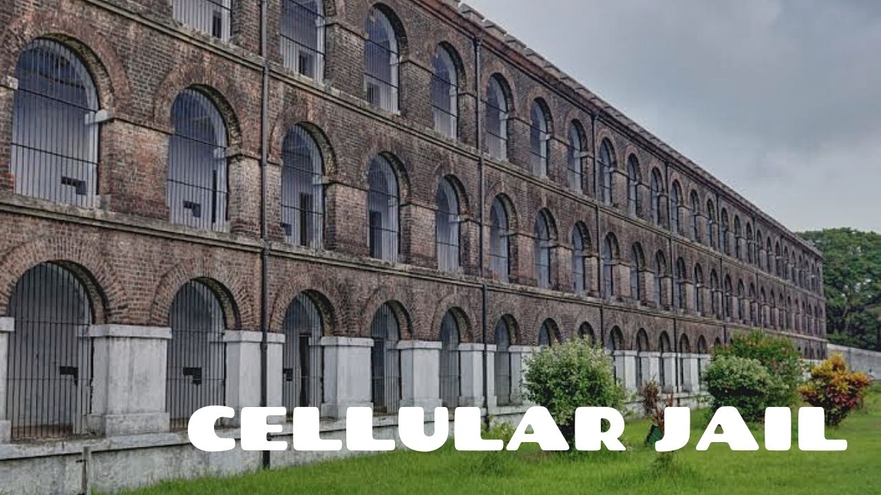 Delightful Andaman 4D/3N Andaman package – photo 3
