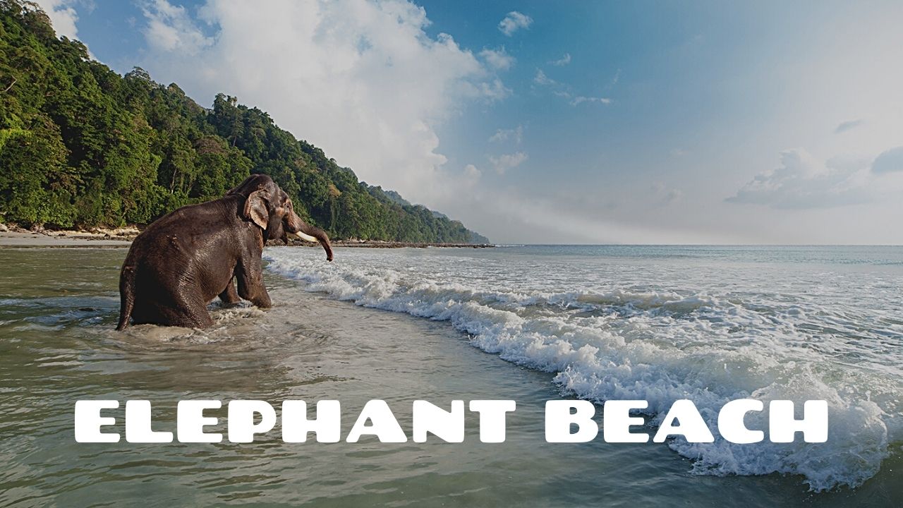 Glorious Andaman 5D/4N Andaman package – photo 5
