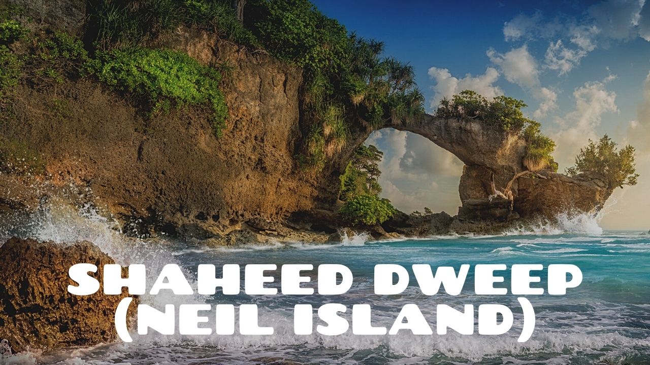 Marvelous Andaman 6D/5N Andaman package – photo 6