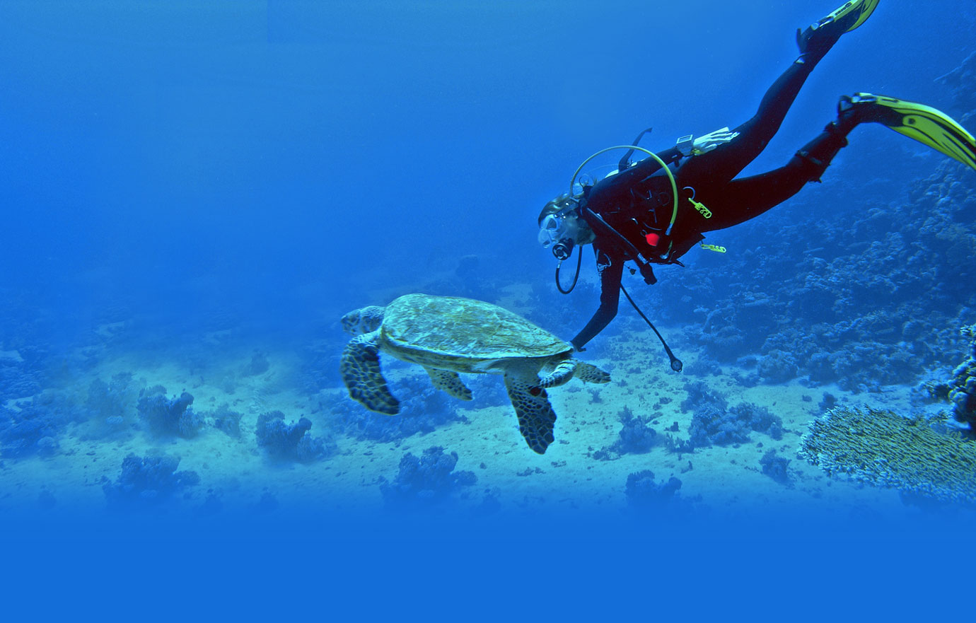 MICE Events in Andaman – photo 10