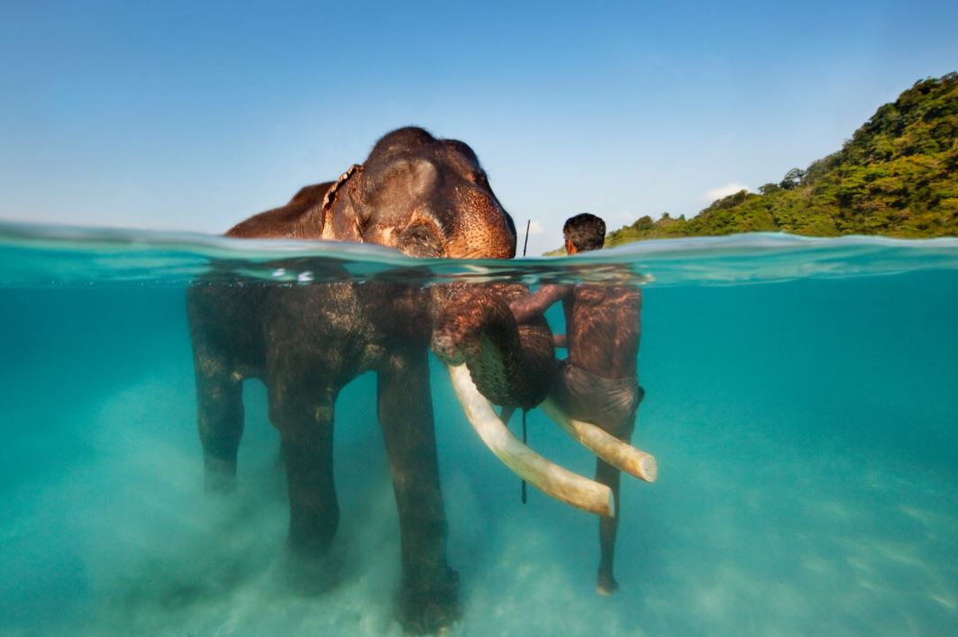 MICE Events in Andaman – photo 11