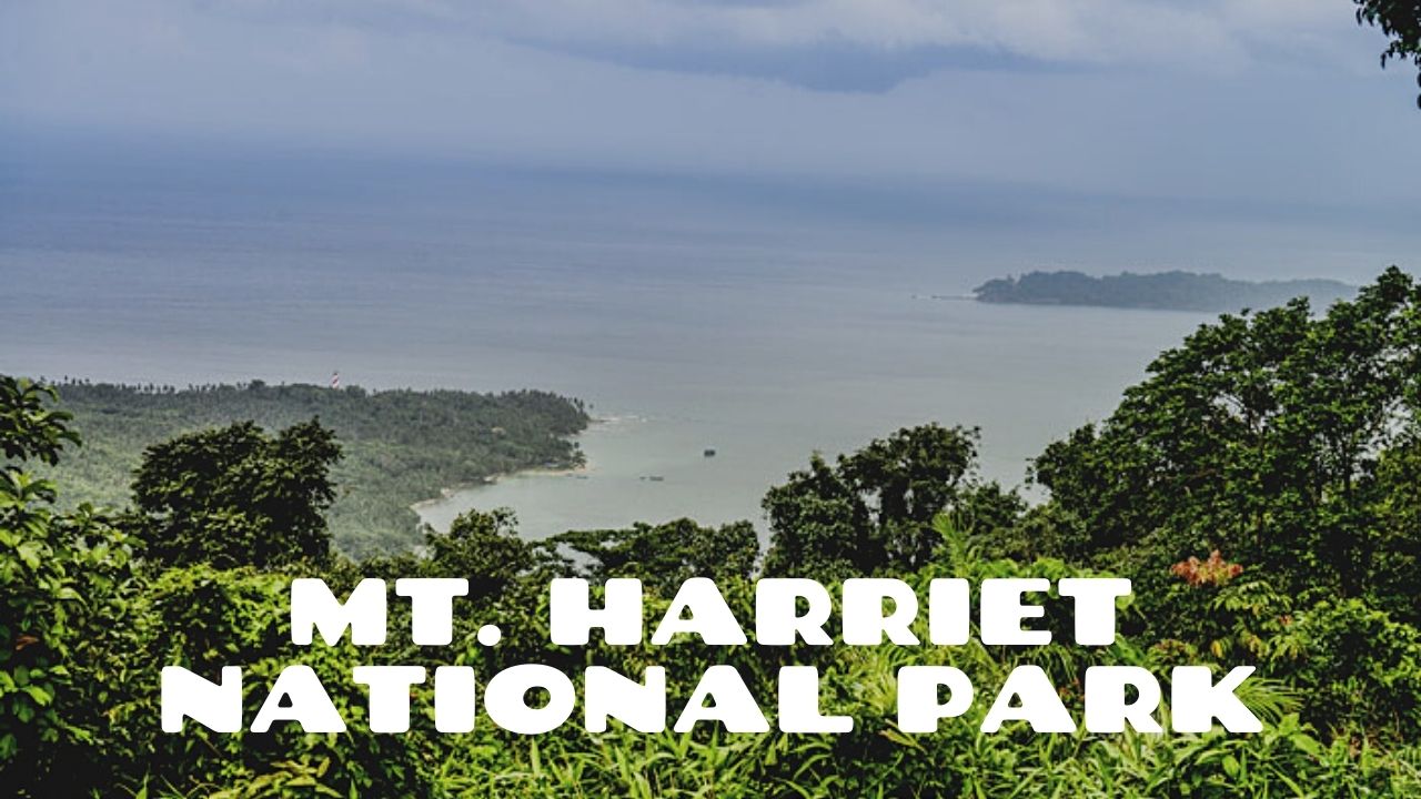 Spectacular Andaman 8D/7N Andaman package – photo 7